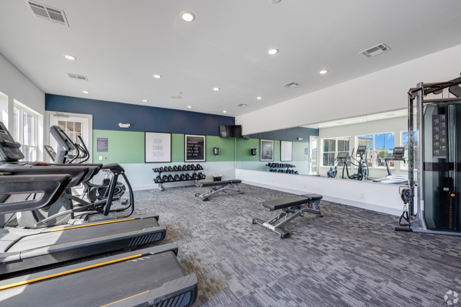 Virtu on Denali photo 10