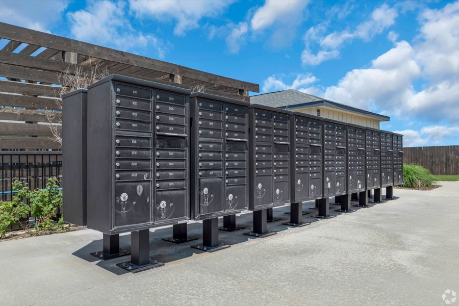 Virtu on Denali photo 12